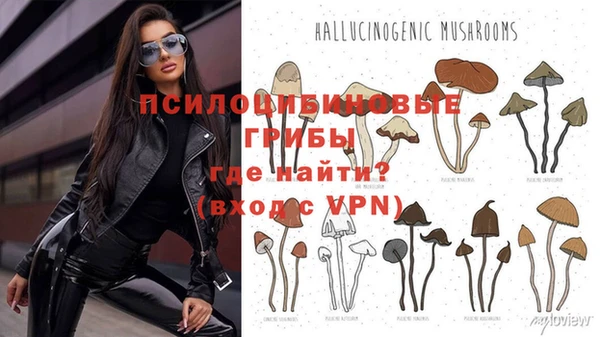 крисы Киренск
