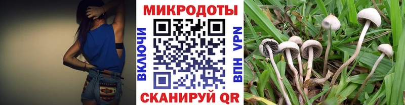 мега онион  Ярославль  дарк нет официальный сайт  Псилоцибиновые грибы мухоморы 